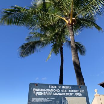 Kaimana Beach - Beaches Near Me - Honolulu, Hawaii Kaimana Beach - Beaches Near Me - Honolulu, Hawaii