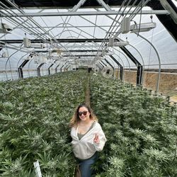 Humboldt Cannabis Tours - Catch a Cloud Farm