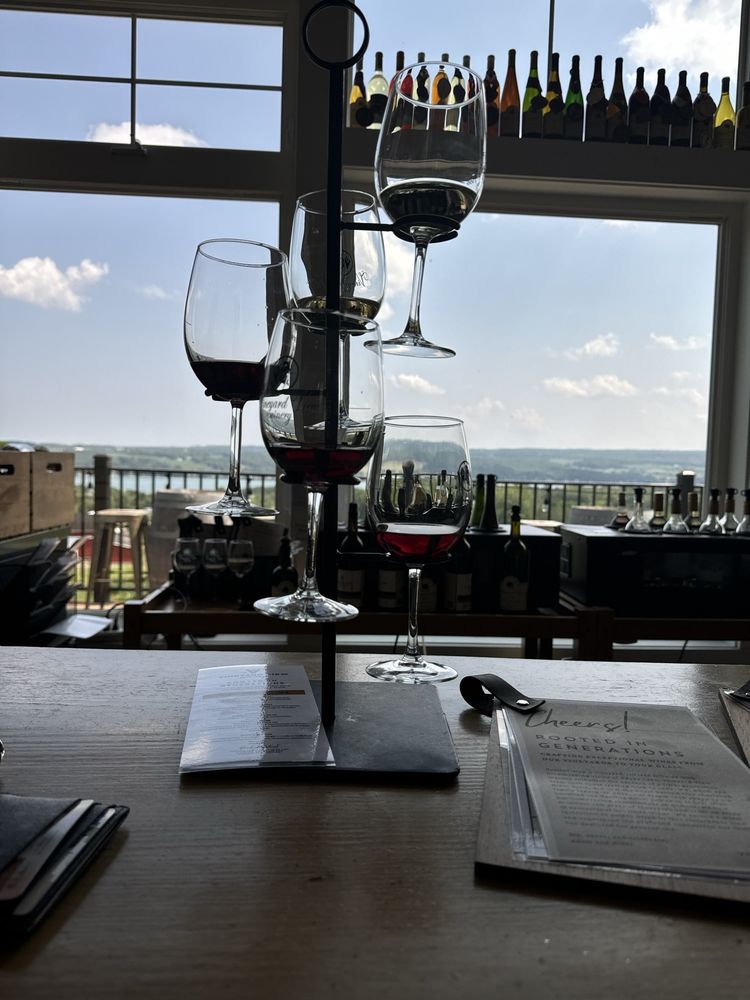 Vineyard View Winery - vineyard in Keuka Park, NY