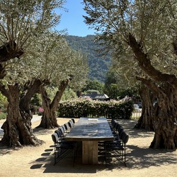 Pelio Estate Wines - Outdoor parties - Wineries Near Me - Carmel Valley, California Pelio Estate Wines - Outdoor parties - Wineries Near Me - Carmel Valley, California