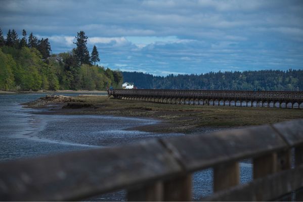 Billy Frank Jr. Nisqually National Wildlife Refuge by null