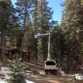 LAM Tree Service - Snow Removal Near Me - Evergreen, Colorado LAM Tree Service - Snow Removal Near Me - Evergreen, Colorado
