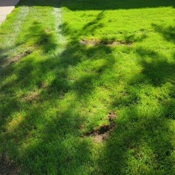 Kramer-Triad Management Group - The  holes they leave after digging deep with the mower. - Property Management Near Me - Troy, Michigan