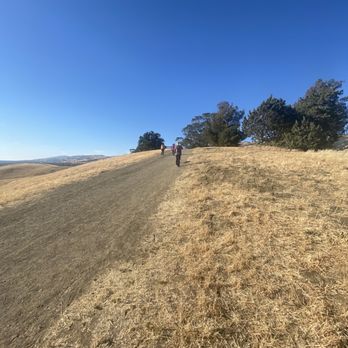 Montgomery Hill Park - Hiking Near Me - San Jose, California Montgomery Hill Park - Hiking Near Me - San Jose, California