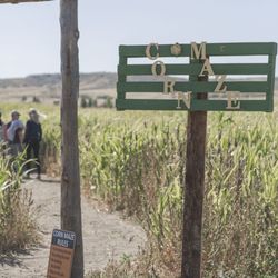 Lone Creek Farms