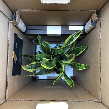 Léon & George - Thoughful, impressive packaging - Nurseries & Gardening Near Me
