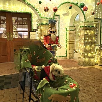 Nights of Lights - Festivals Near Me Nights of Lights - Festivals Near Me