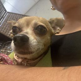 Chloe bean Chloe bean
