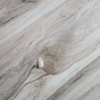 Wildwood Inn - FINGER NAIL FOUND IN BEDROOM!!!!! - Hotels Near Me - Wildwood, New Jersey