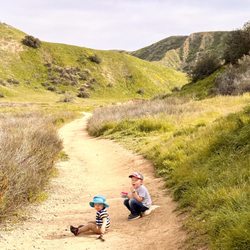 Oakmont Park - Hiking trail