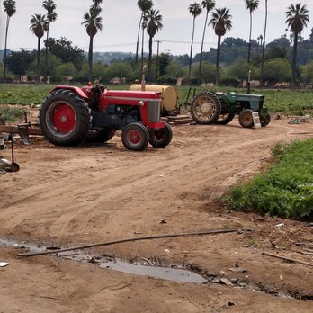 Corona Farms - Green Acres - Farmers Market Near Me - Riverside, California Corona Farms - Green Acres - Farmers Market Near Me - Riverside, California