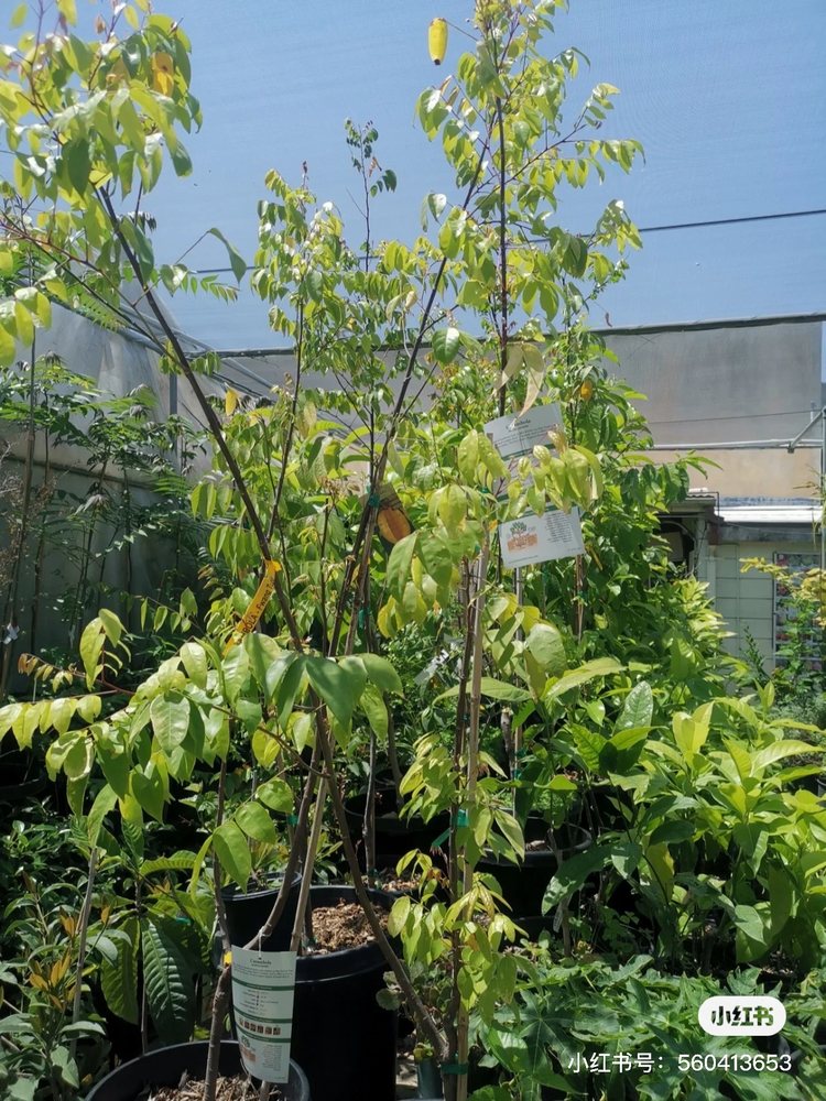 TEMPLE GARDEN CENTER Updated October 2024 32 Photos & 19 Reviews