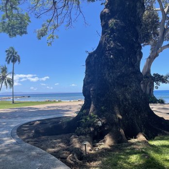 Olowalu Plantation House - Walk from the right side - Venues & Event Spaces Near Me - Lahaina, Hawaii