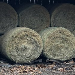 Mac's Farm Supply