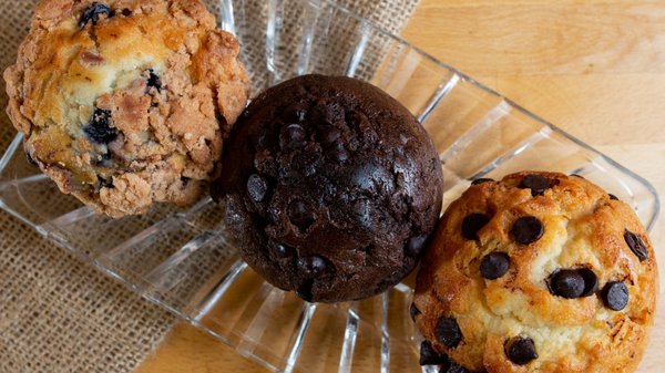 Port City Coffee Roasters by null