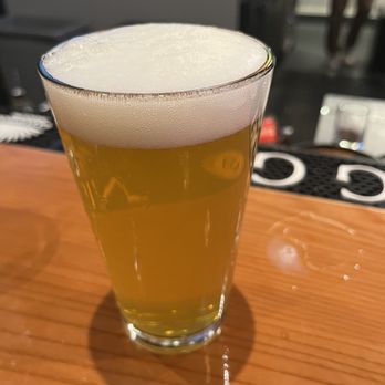 Rough & Tumble Pub - Nitro ipa - Pubs Near Me - Seattle, Washington