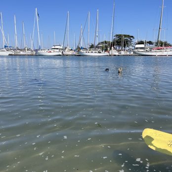 Kayak Connection - Rafting/Kayaking Near Me - Moss Landing, California Kayak Connection - Rafting/Kayaking Near Me - Moss Landing, California
