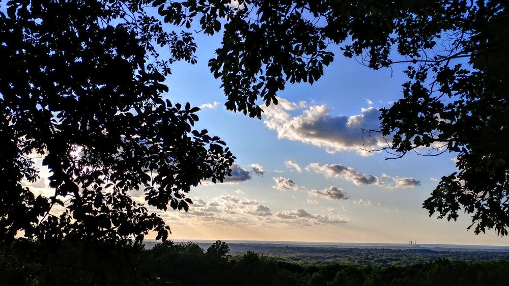 CHAPIN FOREST RESERVATION 30 Photos Hiking 9990 Chillicothe Rd