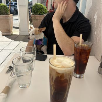 Sunflower Caffe - Cold brew with vanilla cold foam - Coffee & Tea Near Me - Sonoma, California Sunflower Caffe - Cold brew with vanilla cold foam - Coffee & Tea Near Me - Sonoma, California