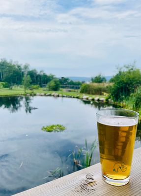 Lazy Bear Brewing by null