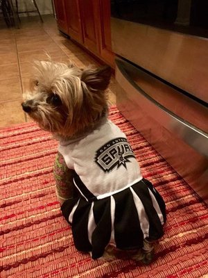 rudy's pet shop & feed store