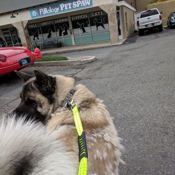 FURology Pet SPaw - Pet Groomers Near Me - Santee, California