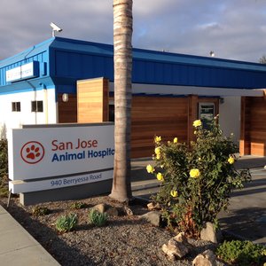 SAN JOSE ANIMAL CARE CENTER - Updated December 2025 - 423 Photos & 427
