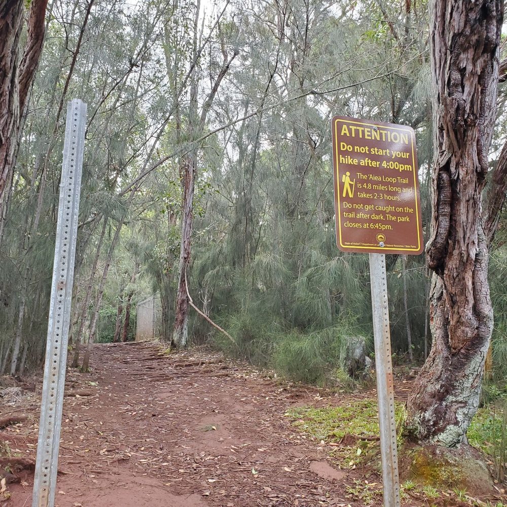 Aiea Loop Trail - Entrance to the trail - Hiking Near Me - Aiea, Hawaii