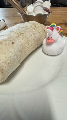 Maya Del Sol Kitchen by null