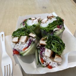 Crispy Spring Rolls