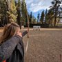 Photo of Adventures Lake Tahoe