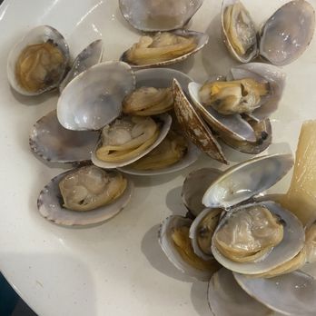 Hibachi Grill Supreme Buffet - Steamed baby clams - Buffets Near Me - Orange, Connecticut