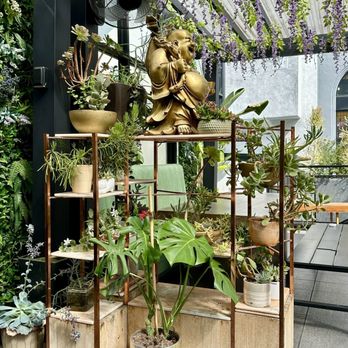 Savvvys - Outdoor decorative plant shelf - Internet Cafes Near Me - Pasadena, California Savvvys - Outdoor decorative plant shelf - Internet Cafes Near Me - Pasadena, California