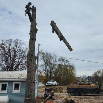 The Guys Tree Service - Tree Services Near Me - Waterloo, Indiana The Guys Tree Service - Tree Services Near Me - Waterloo, Indiana