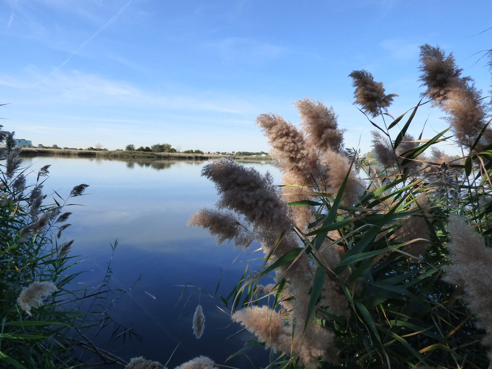 MEADOWLANDS KAYAK TOURS Updated October 2024 94 Union Ave