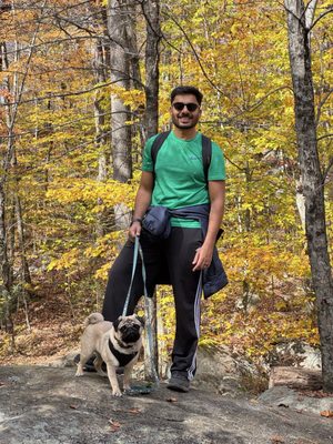 Harriman State Park by null