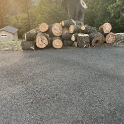 Terra Heights Tree Experts & Landscaping - Wood stacked up and area cleaned. I requested to keep the wood or it could have been hauled away.