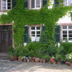 Hofgut Habitzheim