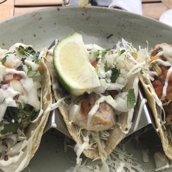 Don The Beachcomber - Grilled swordfish tacos. Meh. - Bars Near Me - Kailua-Kona, Hawaii Don The Beachcomber - Grilled swordfish tacos. Meh. - Bars Near Me - Kailua-Kona, Hawaii