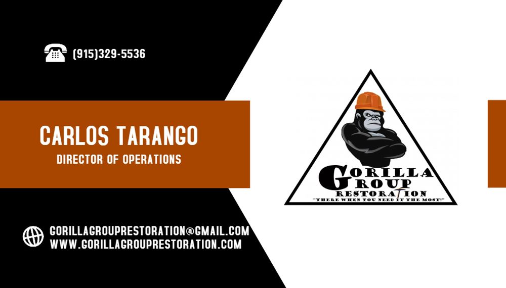 Slide of Gorilla Group Restoration