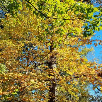 Blue Ash Nature Park - Parks Near Me - Blue Ash, Ohio Blue Ash Nature Park - Parks Near Me - Blue Ash, Ohio
