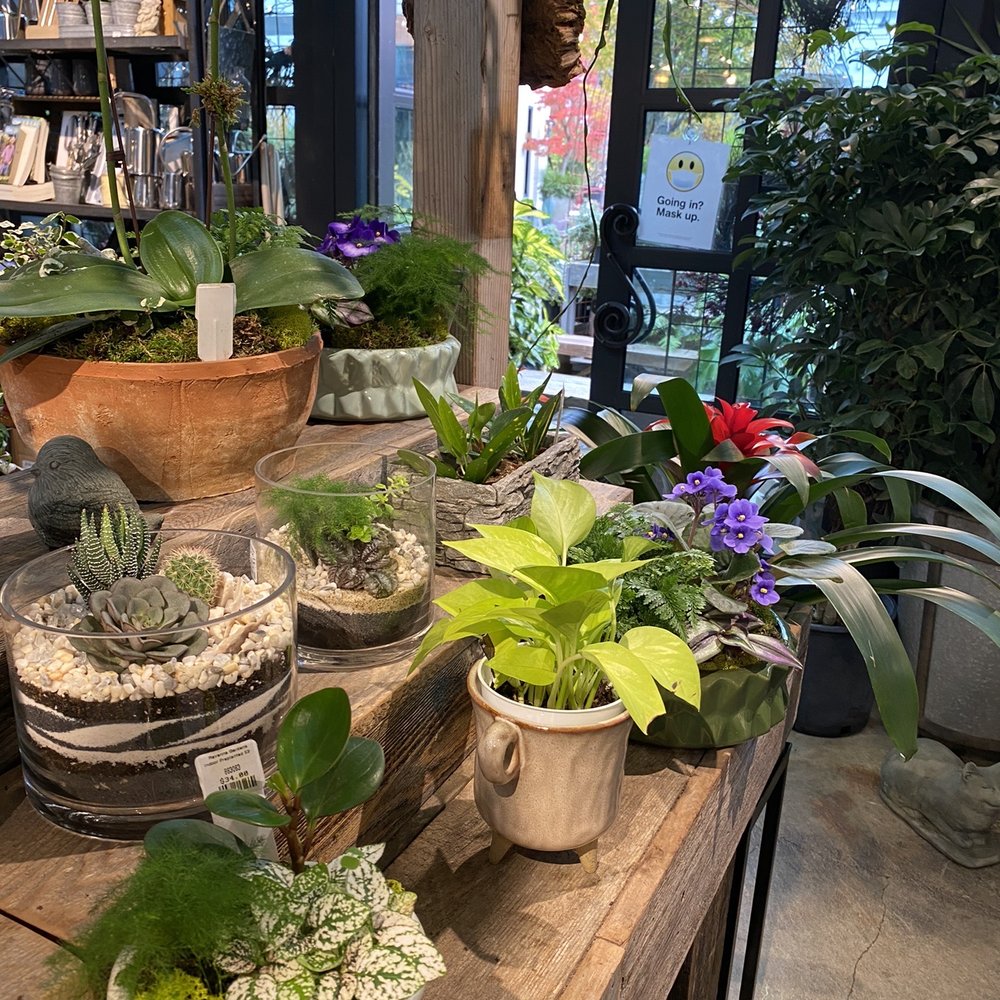 Ravenna Gardens - Nurseries & Gardening Near Me - Seattle, Washington