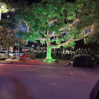 Mi Pueblo - Tree in front of parking lot - Mexican Near Me - Sarasota, Florida Mi Pueblo - Tree in front of parking lot - Mexican Near Me - Sarasota, Florida