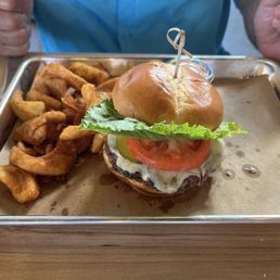 Backyard Burger Backyard Burger