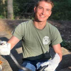 Emergency wildlife removal - Black snake removal