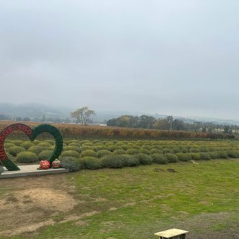 The Landing - Beautiful views - Desserts Near Me - Fairfield, California The Landing - Beautiful views - Desserts Near Me - Fairfield, California