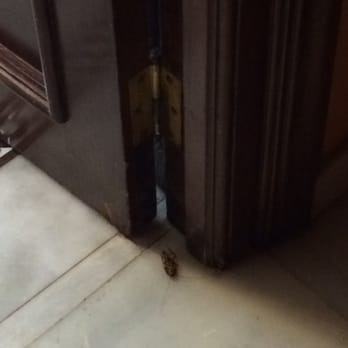 Hotel Alhambra Palace - A cockroach at the bathroom door. Very interesting. - Hotels Near Me - Granada, GR
