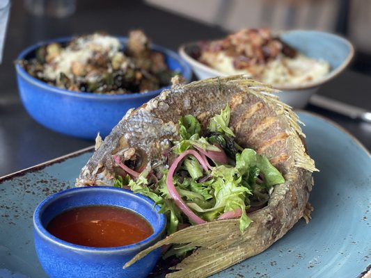 SHOR American Seafood Grill by null