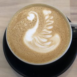 Dandy Lane - Flat White
