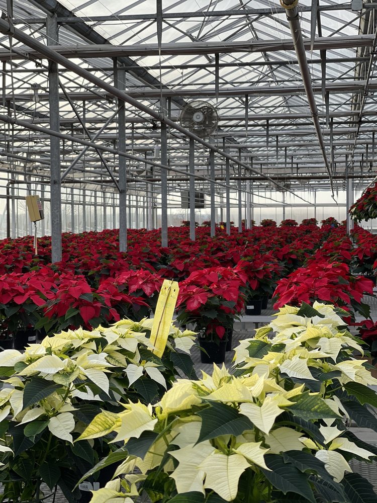 GOODE GREENHOUSES with 12 real customer photos Updated August 2024